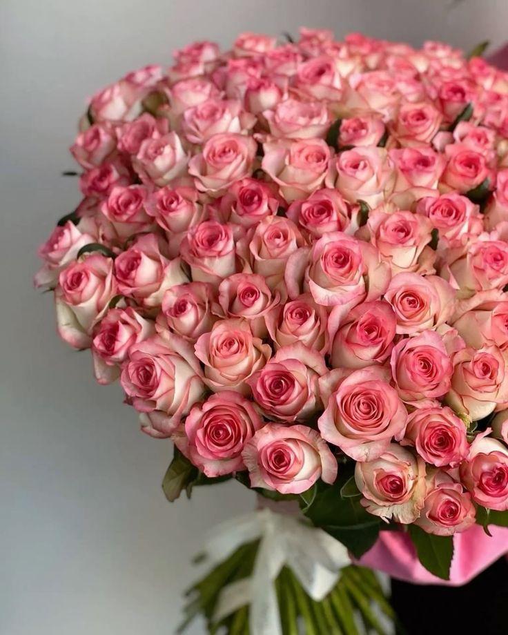 Sunset Serenade: Warmth in Vibrant Petals